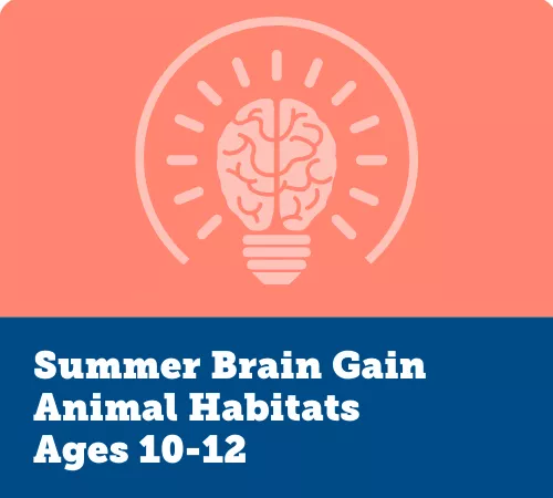 Summer Brain Gain, Animal Habitats 10-12