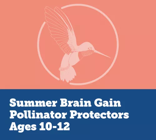 SBG Pollinator Protectors Logo