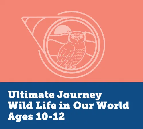 Wildlife in Our World