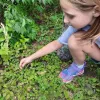 Picking berries from treeline