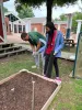 Youth and staff are applying barrier around planting plot for protection from unwanted guests. 